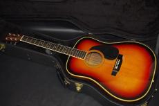 Martin D-35_2