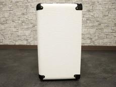 Marshall JCM800 SC20C WHITE & GOLD_3