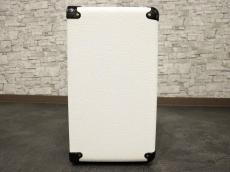 Marshall JCM800 SC20C WHITE & GOLD_5