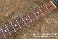 Gibson 1976 Firebird 76 Bicentennial_8