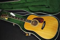 Martin D-40_2