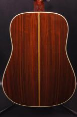 Martin D-40_3