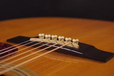 Martin D-40_6