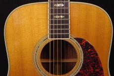Martin D-40_8