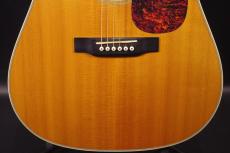 Martin D-40_9