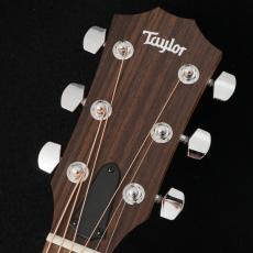 Taylor 114ce 【現物動画あり】【48回無金利】【トリファイドスプルース】【細目ネック】【C-Classブレーシング】_3