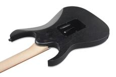 Ibanez RG450B-WK (Weathered Black)-【オンラインストア限定】_5