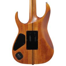 Ibanez RGT1220PB -ABS (Antique Brown Stained Flat)-_4