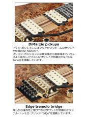 Ibanez RGT1220PB -ABS (Antique Brown Stained Flat)-_11