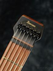 Ibanez Q54 -BKF(Black Flat)- -Quest Series-【オンラインストア限定】_4