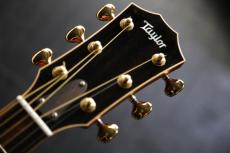 Taylor 816ce　_2