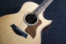 Taylor 816ce　_3