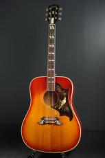 Gibson DOVE