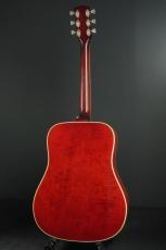 Gibson DOVE_4
