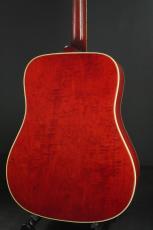 Gibson DOVE_5