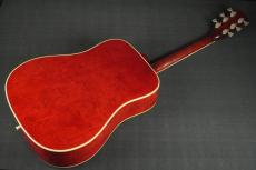 Gibson DOVE_12