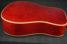 Gibson DOVE_13