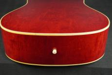Gibson DOVE_16