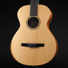 Taylor Academy 12e-N