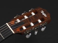 Taylor Academy 12e-N_3