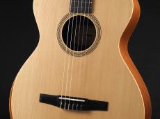 Taylor Academy 12e-N_5