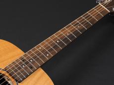 Taylor Baby Taylor-e Mahogany (BT-2e) エレアコモデル!_7