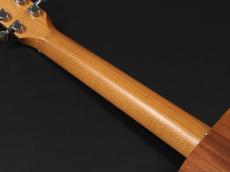 Taylor Baby Taylor-e Mahogany (BT-2e) エレアコモデル!_9