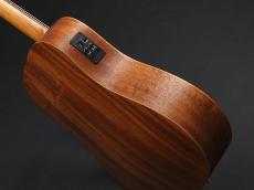 Taylor Baby Taylor-e Mahogany (BT-2e) エレアコモデル!_11