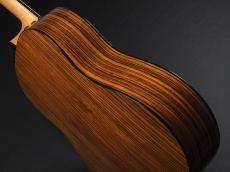 Taylor 50th Anniversary 217e-SB Plus LTD ~Tobacco Sunburst~_11