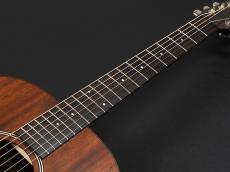 Taylor AD22e ~Natural~ -American Dream Series- _7
