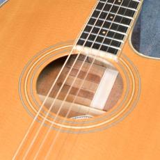 Fender 【USED】 MADE IN JAPAN PM-4CE AUDITORIUM CUSTOM [日本製][25本限定]_10