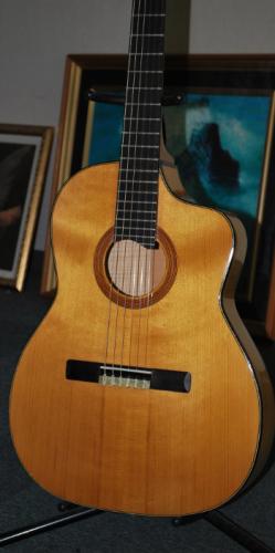 製作者不明 メイプルボディ　木ペグ&オール単板仕様