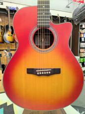 Morris R-14 CS 【L.R.Baggs Element搭載】 【モリダイラ楽器 特選モデル】