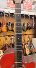 Morris R-14 CS 【L.R.Baggs Element搭載】 【モリダイラ楽器 特選モデル】_6