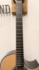 Morris TC-101K NAT 【クロサワ楽器オリジナルモデル第3弾】_6