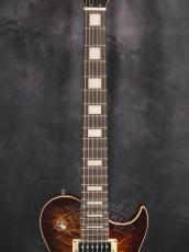 Aria Pro II PE-480_3