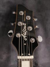Aria Pro II PE-480_4