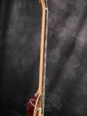 Aria Pro II PE-480_7