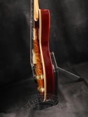 Aria Pro II PE-480_9