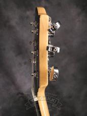Aria Pro II PE-480_11