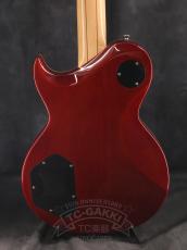 Aria Pro II PE-480_12