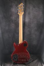 Aria Pro II PE-480_13
