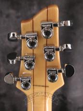 Aria Pro II PE-480_15