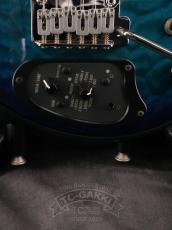 VOX Starstream Type 1-24 with DiMarzio_5