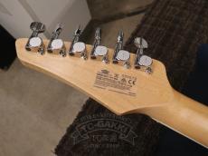 VOX Starstream Type 1-24 with DiMarzio_14