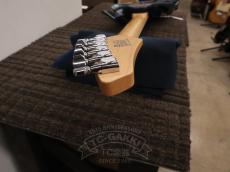 VOX Starstream Type 1-24 with DiMarzio_17