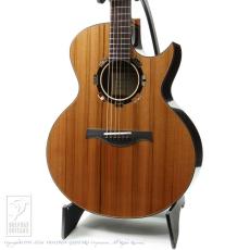 Legacy Project Dusk (SJ Cutaway)