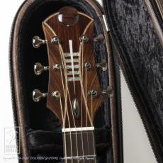 Legacy Project Dusk (SJ Cutaway)_6