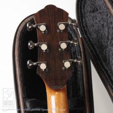 Legacy Project Dusk (SJ Cutaway)_7