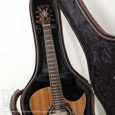Legacy Project Dusk (SJ Cutaway)_8